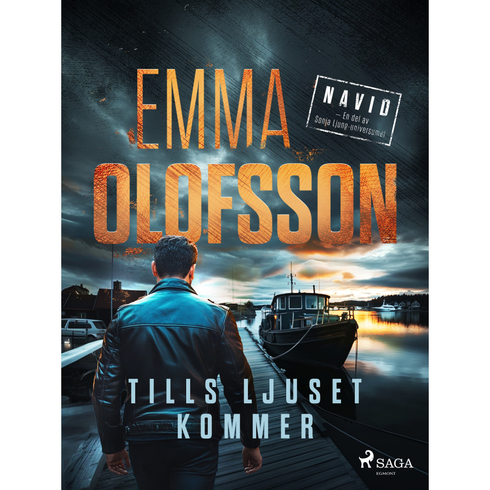 Produktbild för Tills ljuset kommer (inbunden)