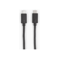 Produktbild för Owl Labs - USB typ C-kabel - USB-C till USB-C - 4.87 m