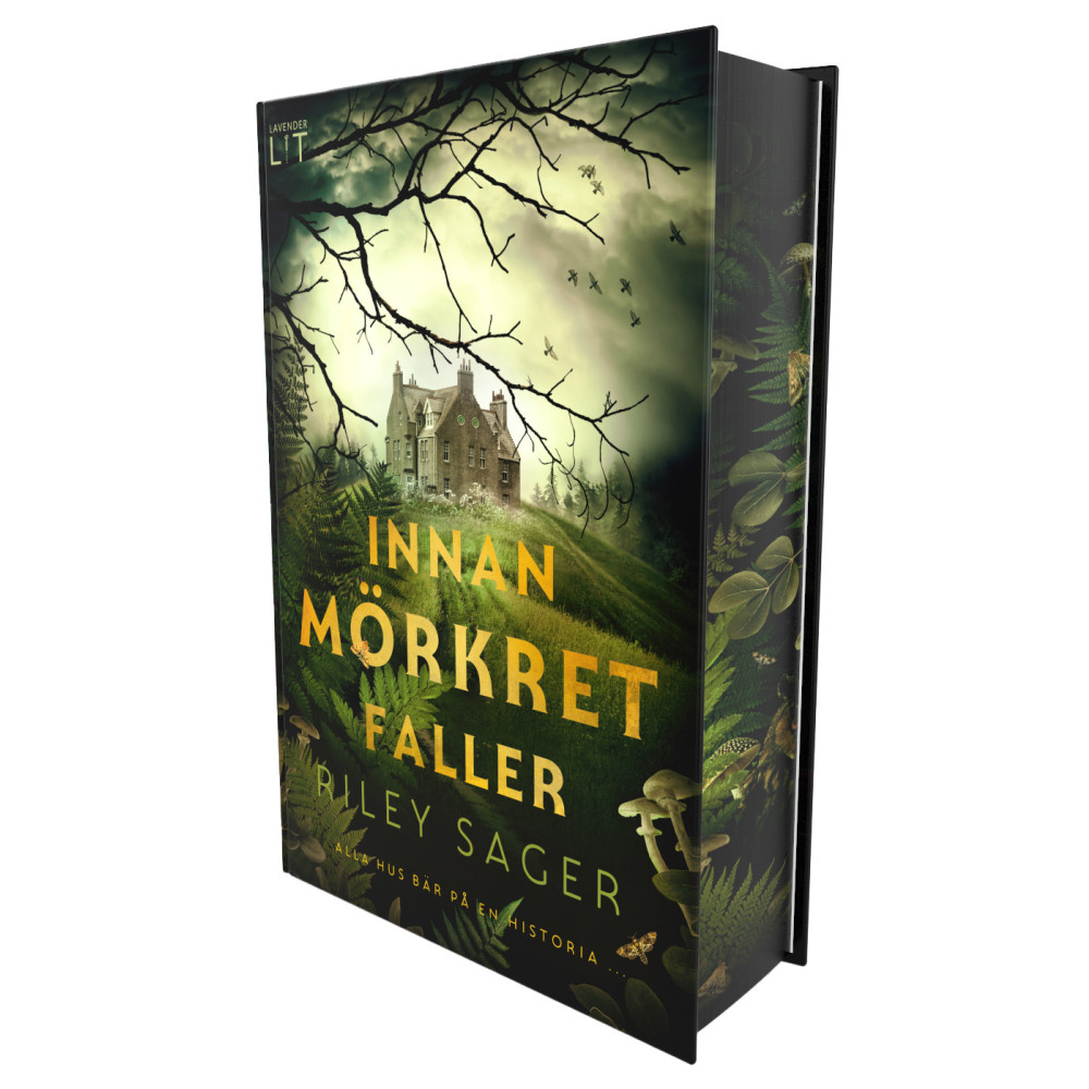 Produktbild för Innan mörkret faller (bok, kartonnage)