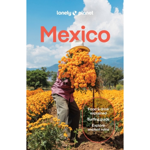 Lonely Planet Lonely Planet Mexico (pocket, eng)