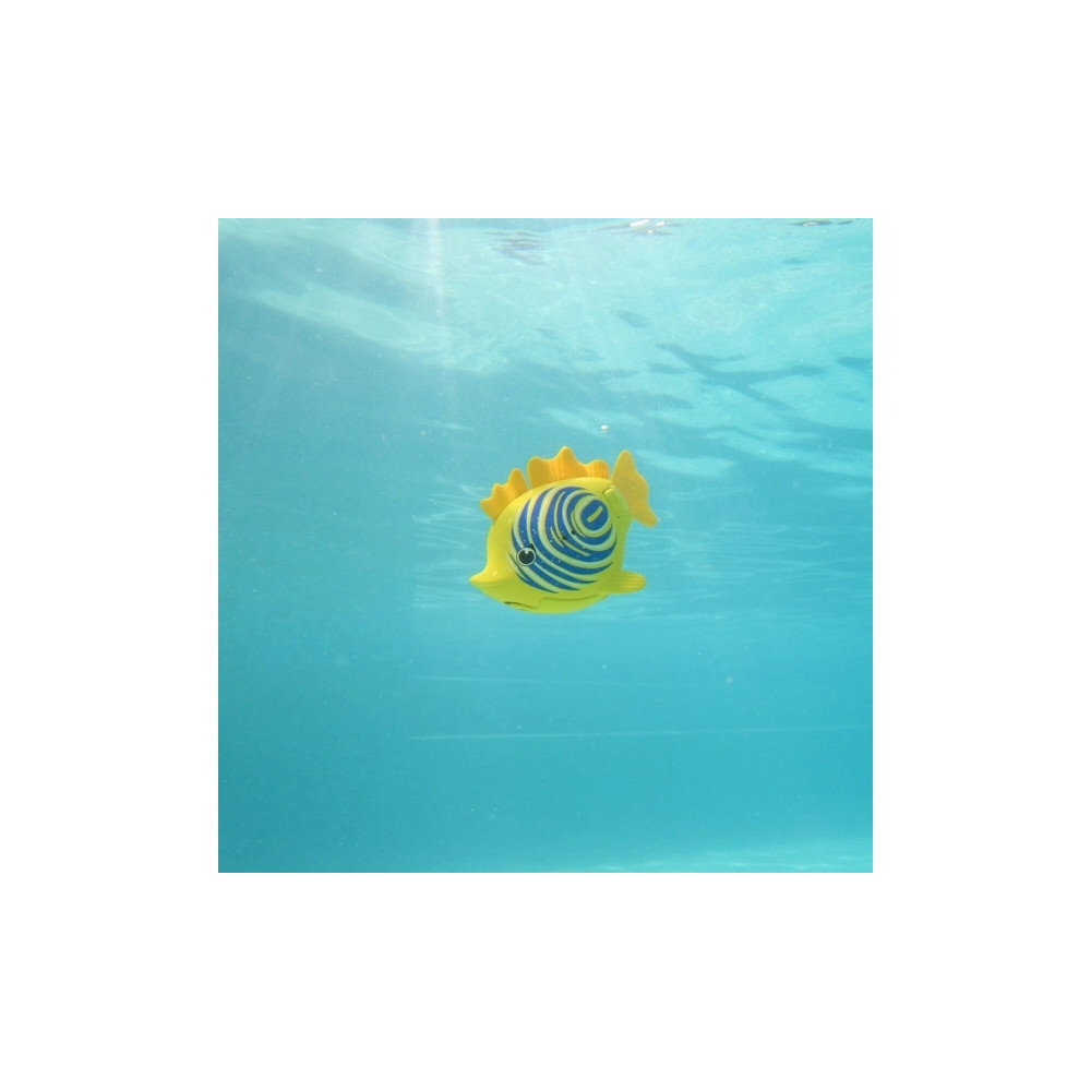 Produktbild för Rainbow Reef Fish