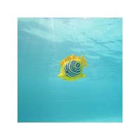 Produktbild för Rainbow Reef Fish