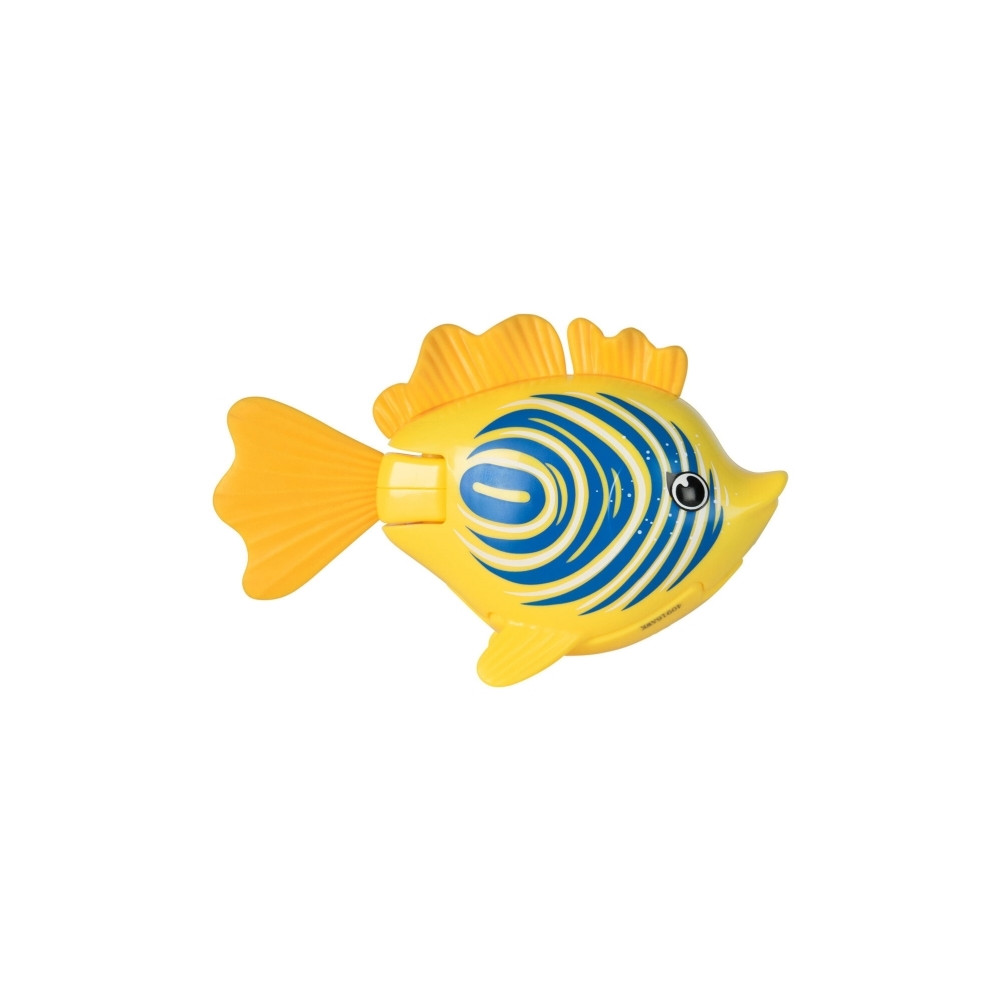 Produktbild för Rainbow Reef Fish
