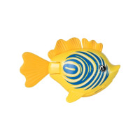 Produktbild för Rainbow Reef Fish