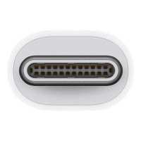 Produktbild för Apple Thunderbolt 3 (USB-C) to Thunderbolt 2 - videokort - USB-C till Mini DisplayPort