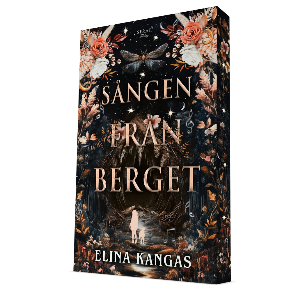 Produktbild för Sången från berget (häftad)