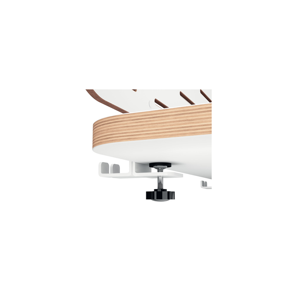Produktbild för Leitz Ergo - pegboard skrivbord organiserare - 2 krokar - vit
