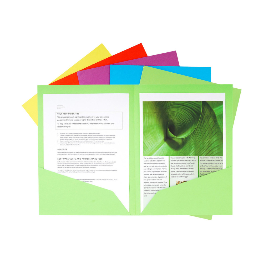 Produktbild för Exacompta Nature Future - fickmapp - för A4 - kapacitet: 60 ark - blandade färger (paket om 25)