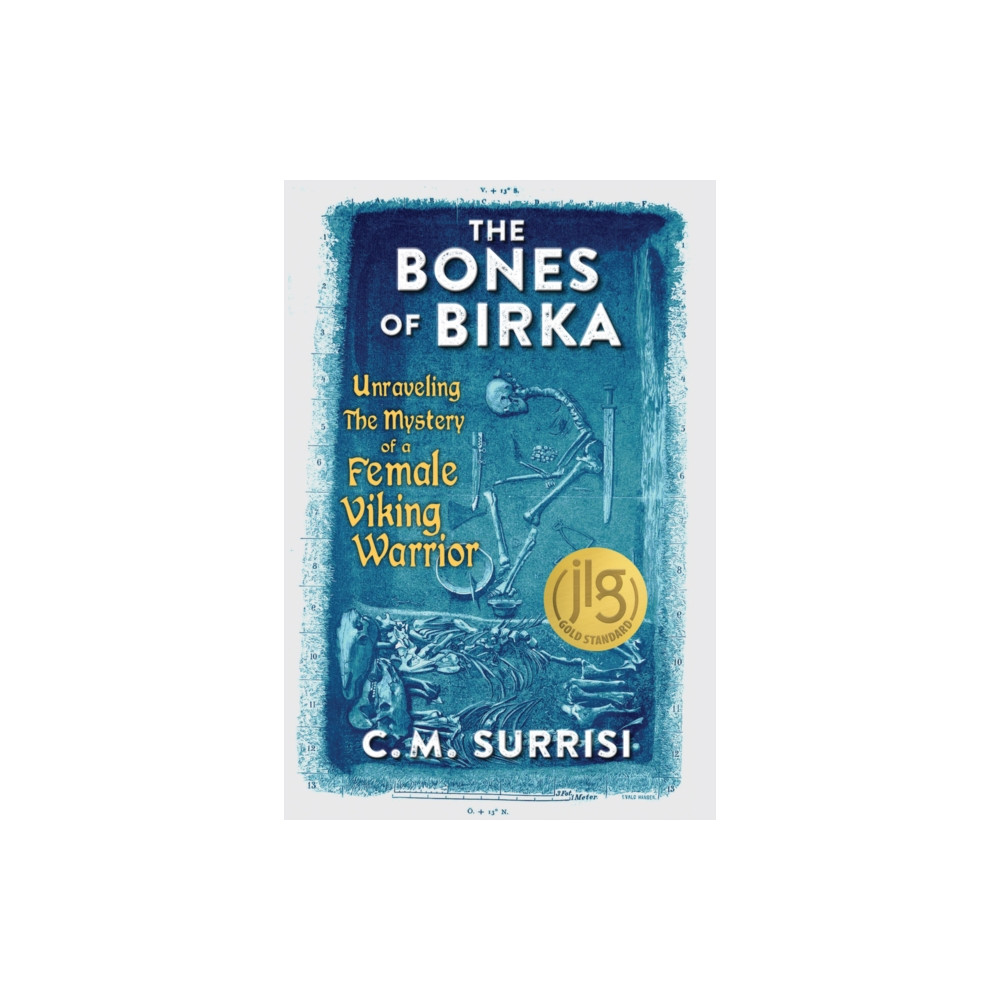 Produktbild för The Bones of Birka (häftad, eng)
