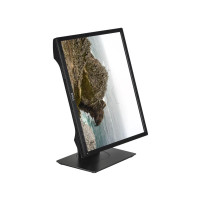 Produktbild för Dell P1917S - LED-skärm - 19"