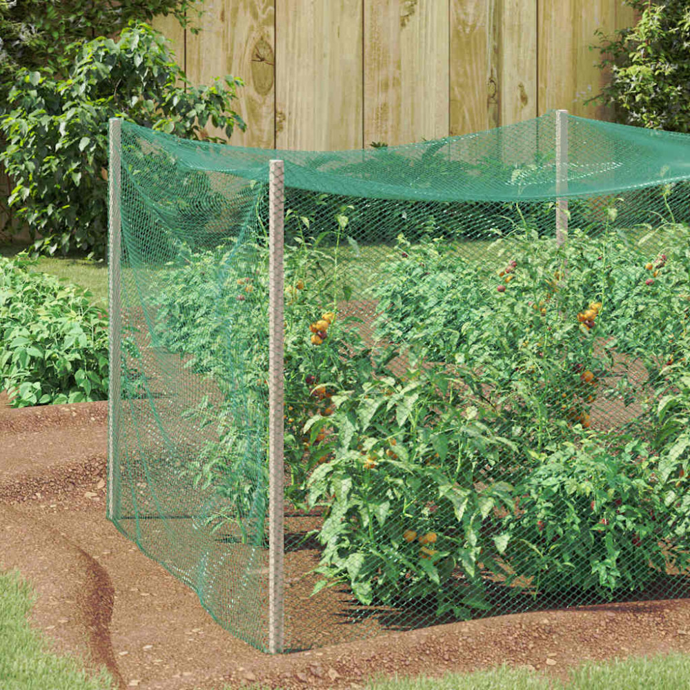 Produktbild för Fågel Skyddsnät Grön 2 x 10 m polyeten
