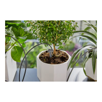 Produktbild för Gardena - semestervattningssats