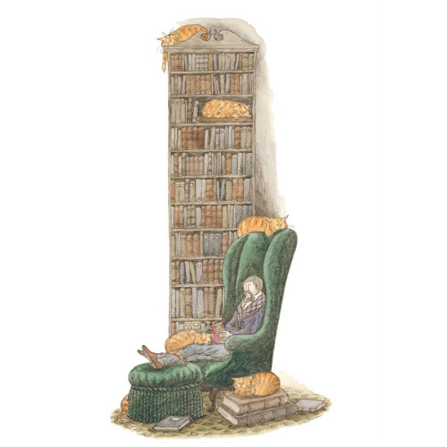 Pomegranate Europe Ltd Bibliophile with Cats Notecard