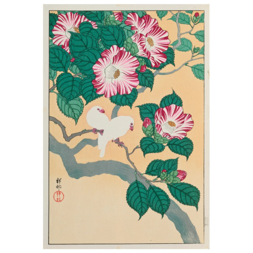 Pomegranate Europe Ltd Camellia and Rice Birds Notecard