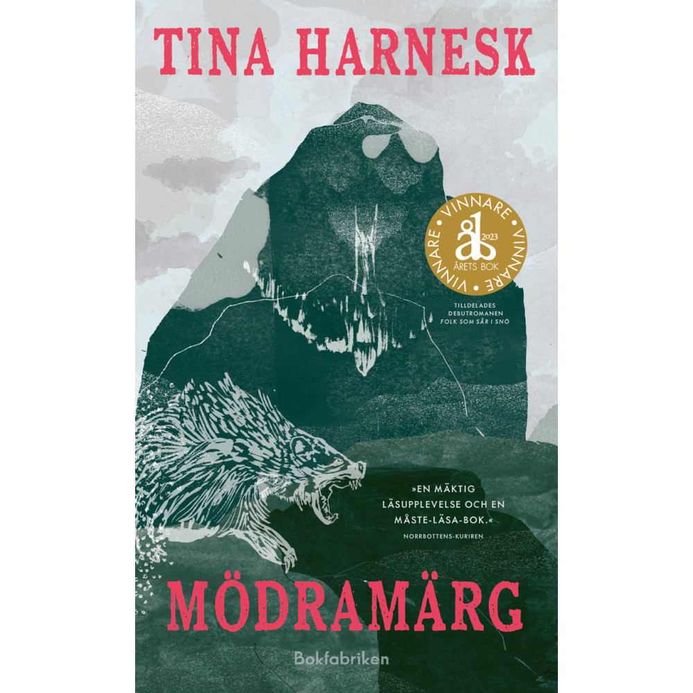 Produktbild för Mödramärg (pocket)