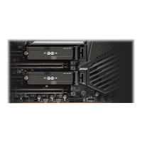Produktbild för SILICON POWER XD80 - SSD - 1 TB - PCIe 3.0 x4 (NVMe)