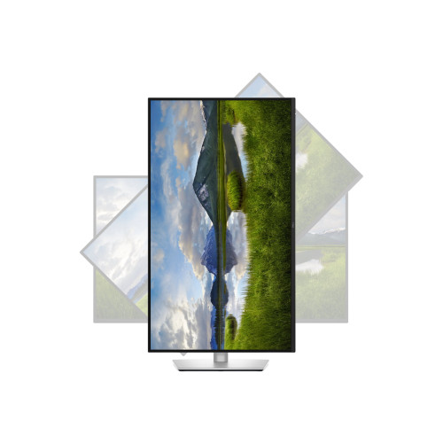 DELL Dell Pro Plus P3225DE - LED-skärm - QHD - 32"