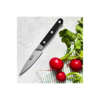 Produktbild för ZWILLING PRO - skalkniv