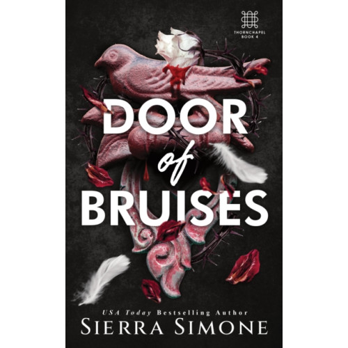 Sourcebooks, Inc Door of Bruises (häftad, eng)