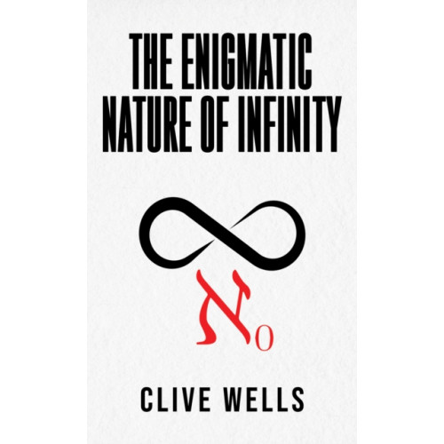 Austin Macauley Publishers The Enigmatic Nature of Infinity (häftad, eng)