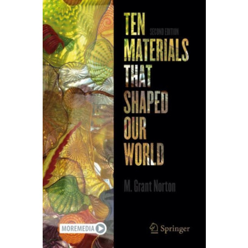 Springer International Publishing AG Ten Materials That Shaped Our World (häftad, eng)