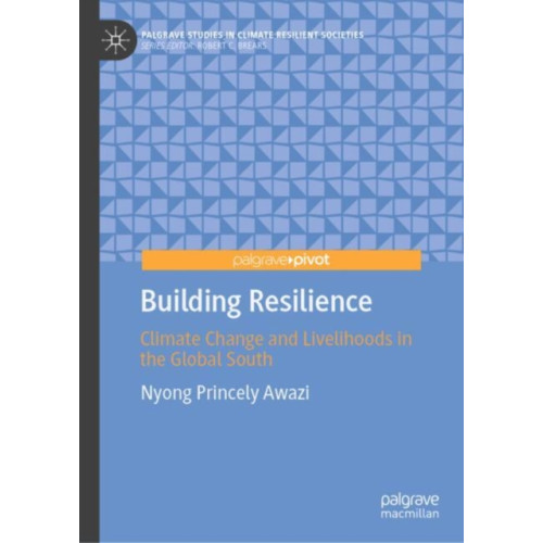 Springer International Publishing AG Building Resilience (inbunden, eng)