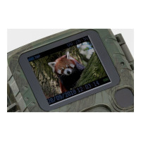 Produktbild för Technaxx Mini Nature Wild Cam TX-117 - kamerafälla