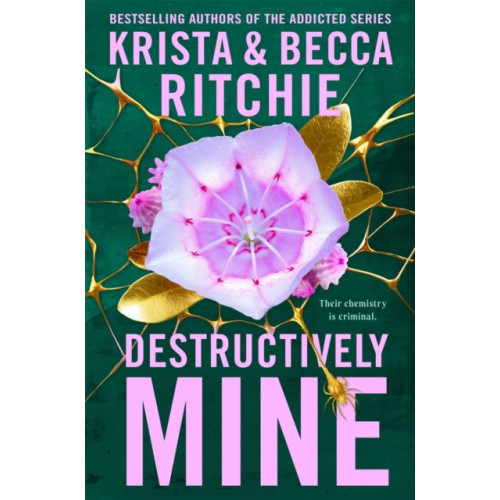 Krista Ritchie Destructively Mine (pocket, eng)