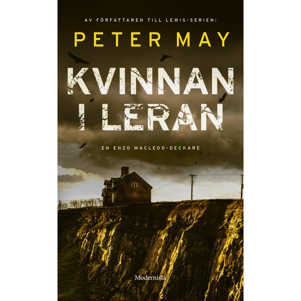 Produktbild för Kvinnan i leran (pocket)