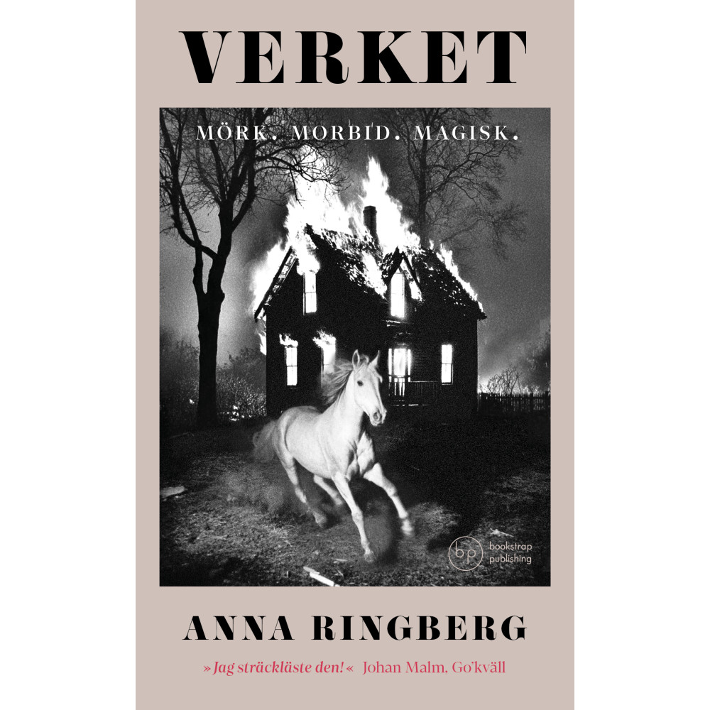 Produktbild för Verket (pocket)