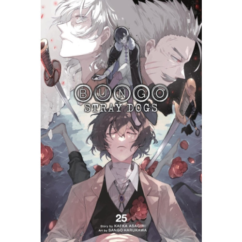 Little, Brown & Company Bungo Stray Dogs, Vol. 25 (häftad, eng)