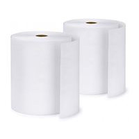 Produktbild för Epson Surelab Pro-S papper Glossy A4x65, 21 cm, 252 µm, 190...