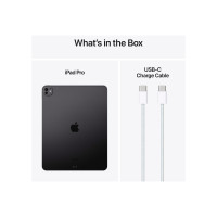 Produktbild för Apple 13-inch iPad Pro M4 Wi-Fi + Cellular - surfplatta - 2 TB - 13" - 3G, 4G, 5G