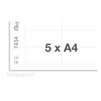 Produktbild för Navneskilt Badgepoint® 80x34 mm, Polar® Classic 35 Medarbejd...