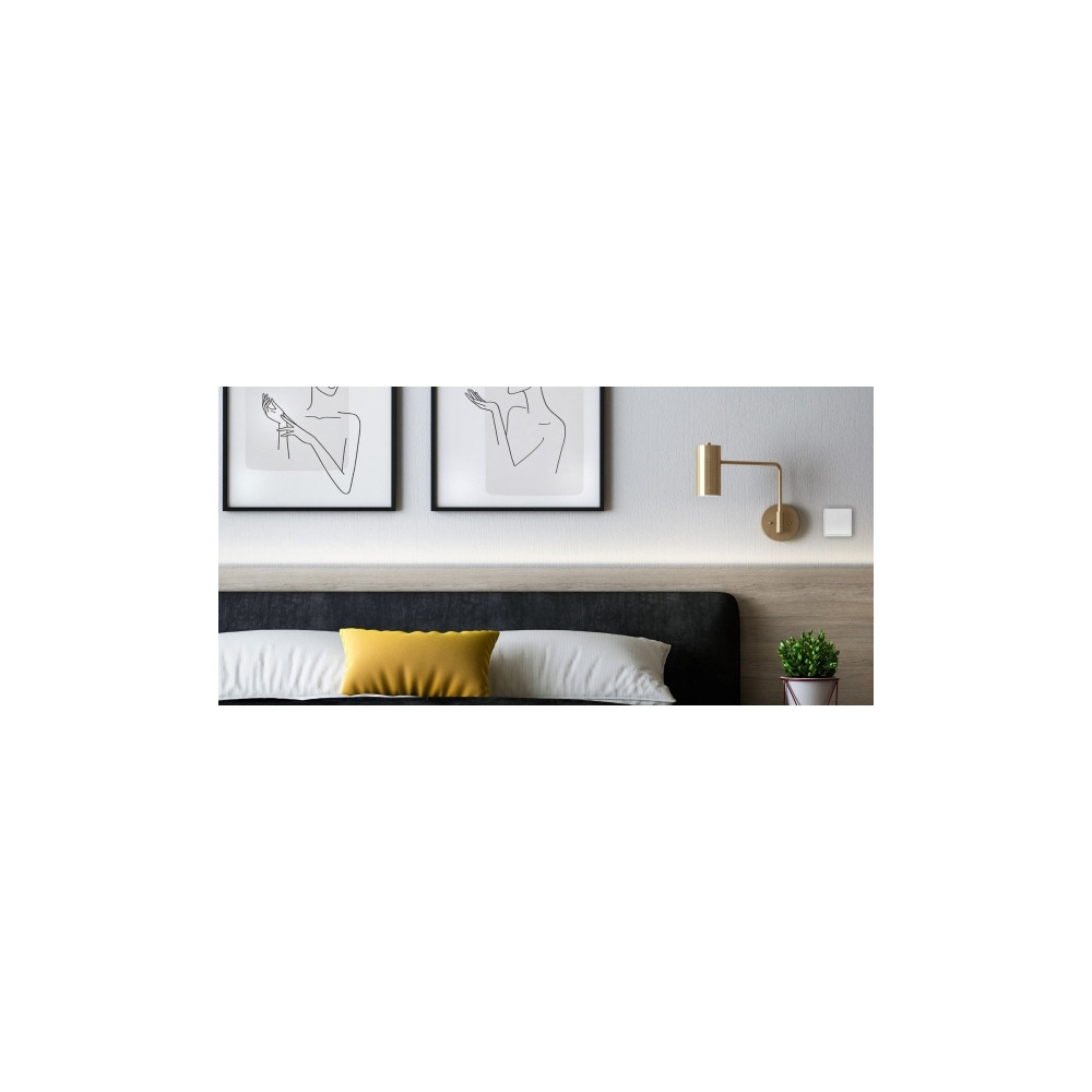 Produktbild för Tesla Smart Switch Dual Battery, Trådlös, ZigBee, Hvid, 2 ka...