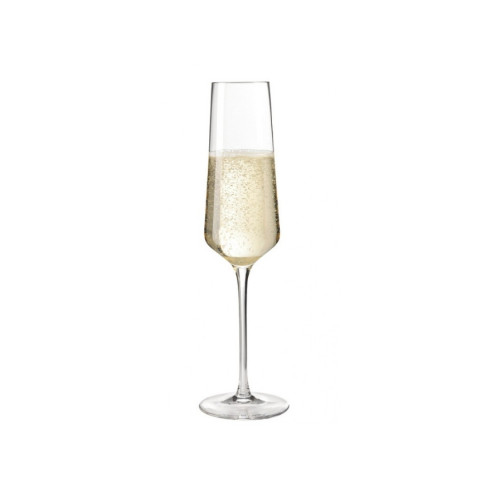 Leonardo LEONARDO Puccini, Champagneglas, 280 ml, Glas, Transparent,...
