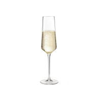 Produktbild för LEONARDO Puccini, Champagneglas, 280 ml, Glas, Transparent,...
