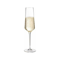 Produktbild för LEONARDO Puccini, Champagneglas, 280 ml, Glas, Transparent,...