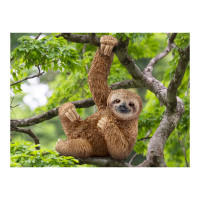 Produktbild för Schleich Wild Life - Sengångare