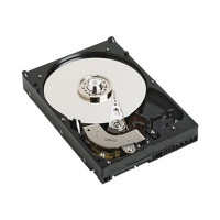 Produktbild för Dell - hårddisk - 4 TB - SATA 6Gb/s