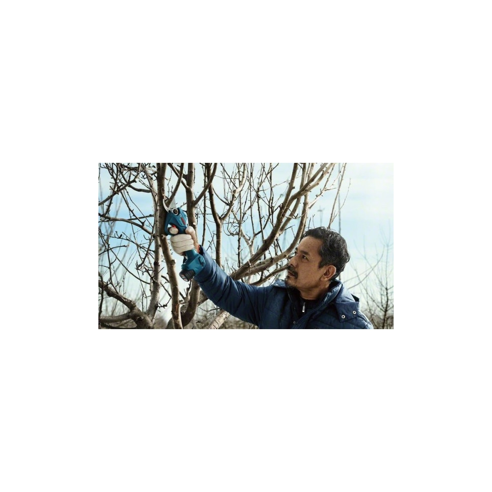 Produktbild för Bosch Pro Pruner Professional, 2,5 cm, Blå, Låda, Litium-Ion...