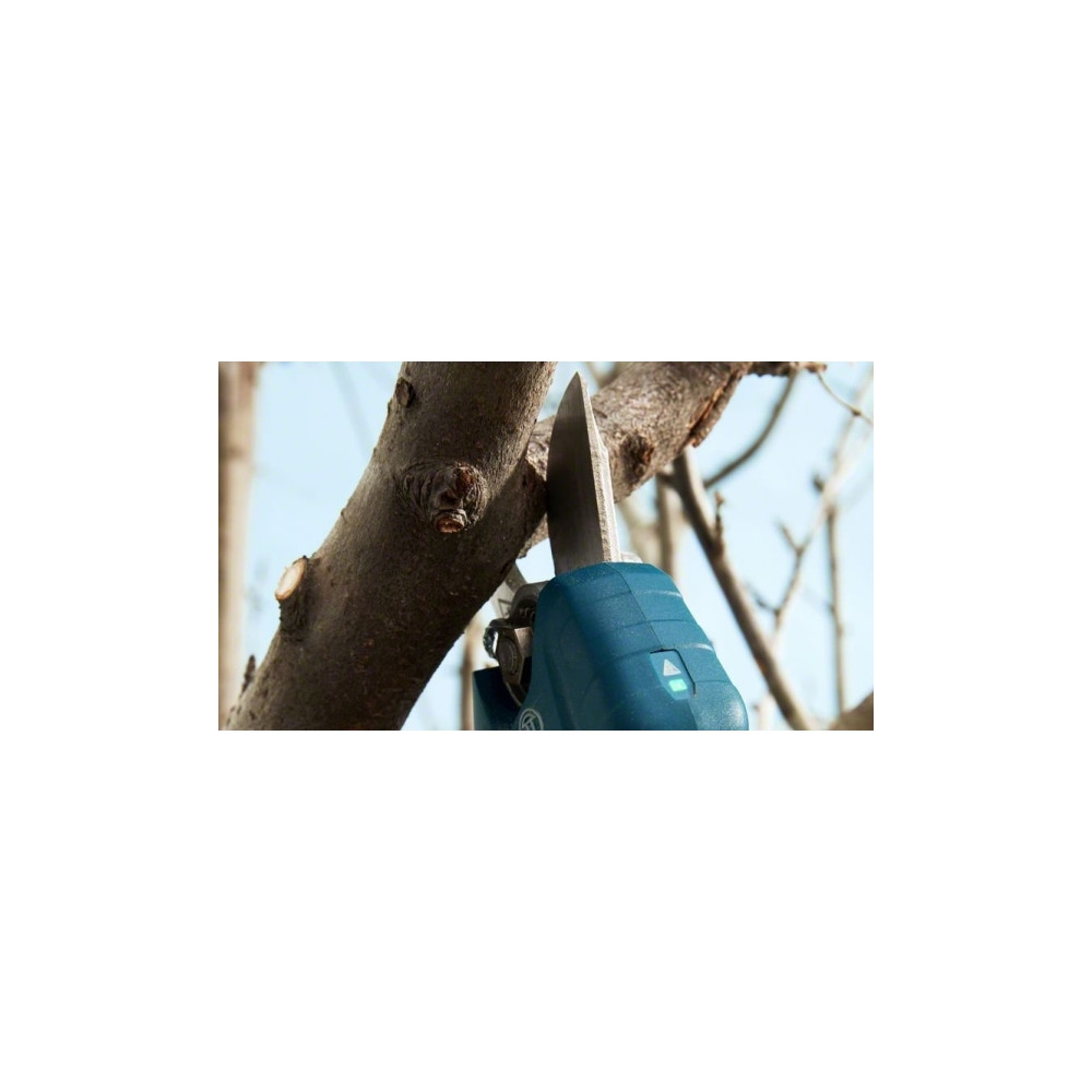 Produktbild för Bosch Pro Pruner Professional, 2,5 cm, Blå, Låda, Litium-Ion...