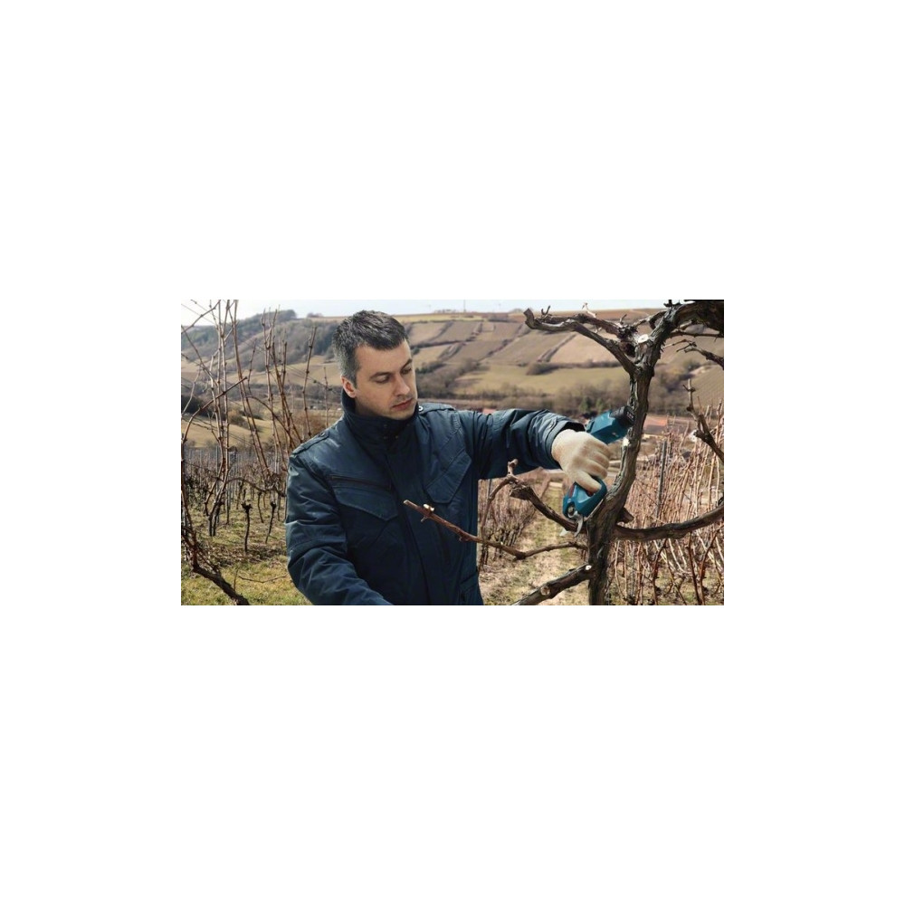 Produktbild för Bosch Pro Pruner Professional, 2,5 cm, Blå, Låda, Litium-Ion...