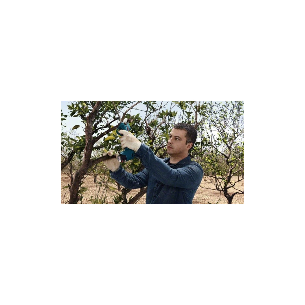 Produktbild för Bosch Pro Pruner Professional, 2,5 cm, Blå, Låda, Litium-Ion...