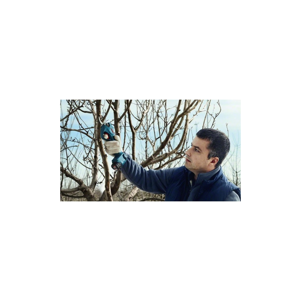 Produktbild för Bosch Pro Pruner Professional, 2,5 cm, Blå, Låda, Litium-Ion...
