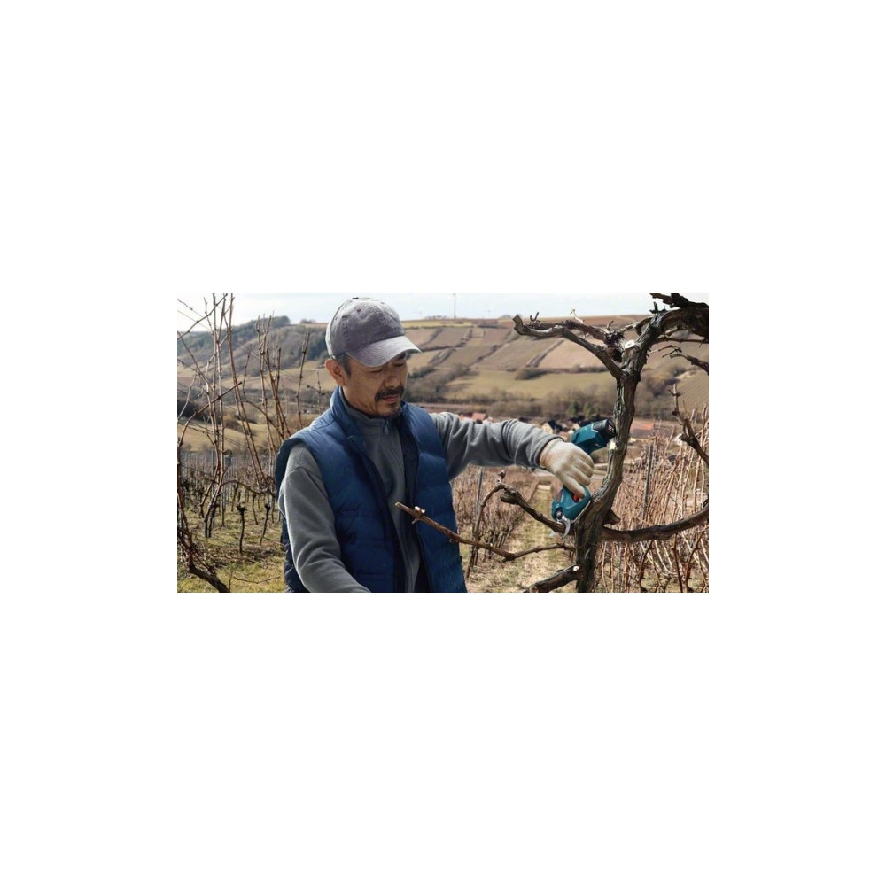 Produktbild för Bosch Pro Pruner Professional, 2,5 cm, Blå, Låda, Litium-Ion...