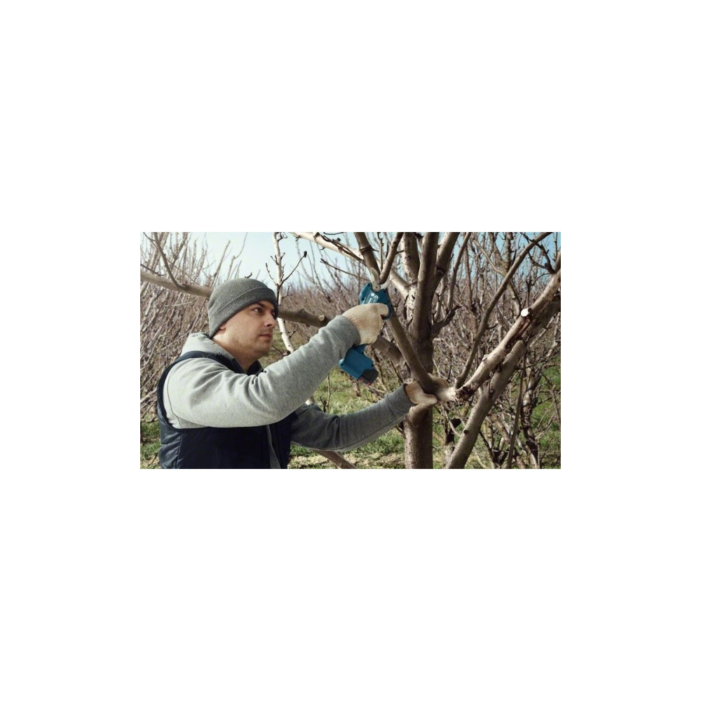 Produktbild för Bosch Pro Pruner Professional, 2,5 cm, Blå, Låda, Litium-Ion...