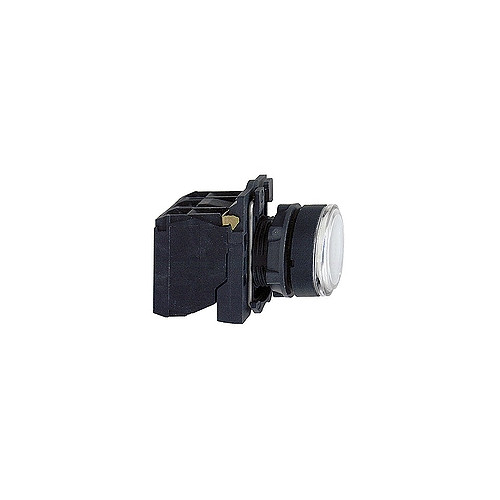 SCHNEIDER ELECTRIC Schneider Electric XB5, Vit, 24 V, 50