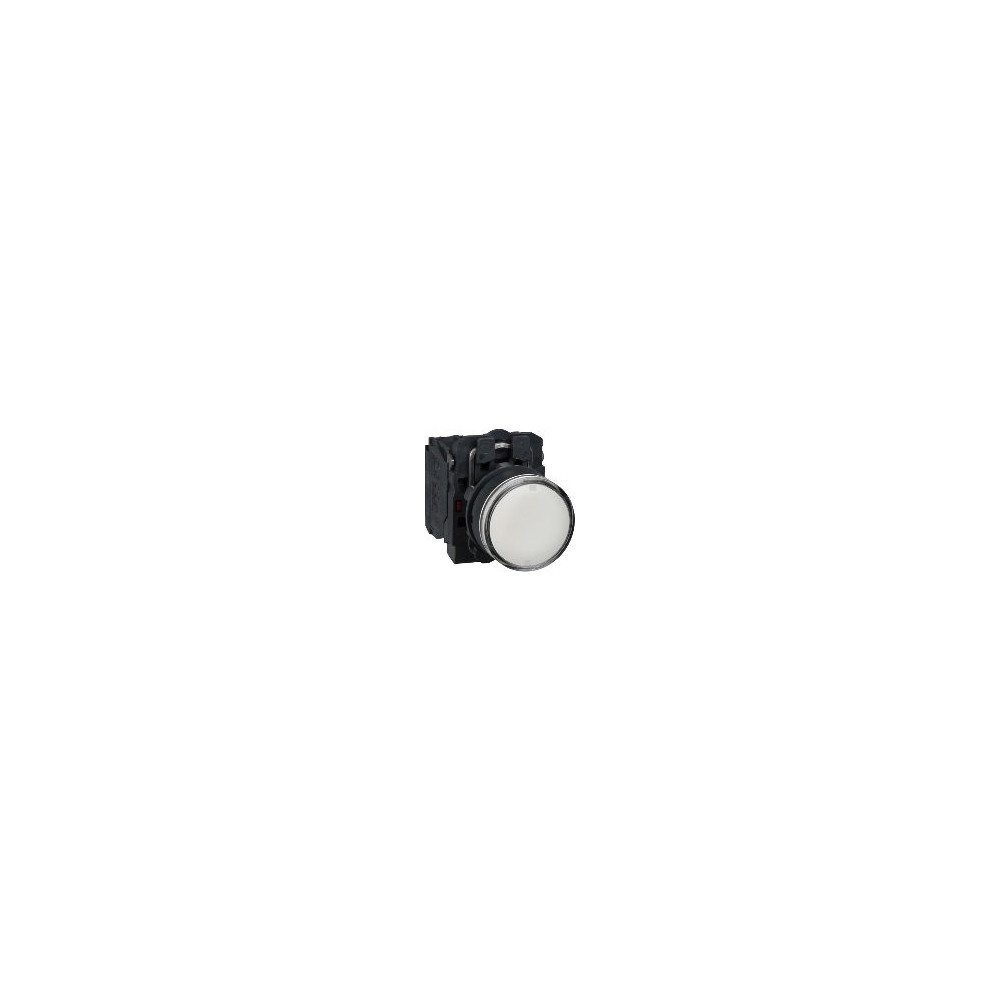 Produktbild för Schneider Electric XB5, Vit, 24 V, 50