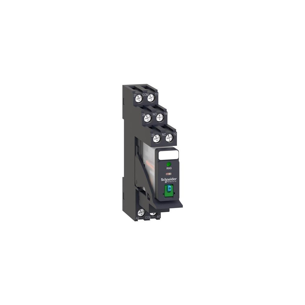 Produktbild för Schneider Electric RXG22BDPV, Svart, 24 V, IP20 IEC 61810-1...